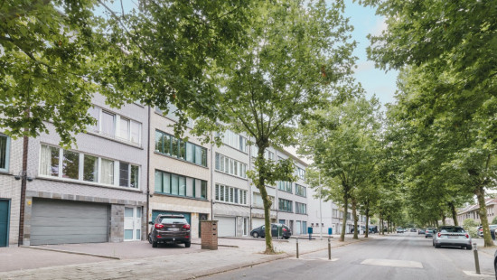 Rietschoorvelden - 281 - 101 - 2170