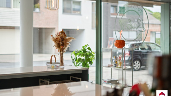 Veldstraat - 37 - - 9910