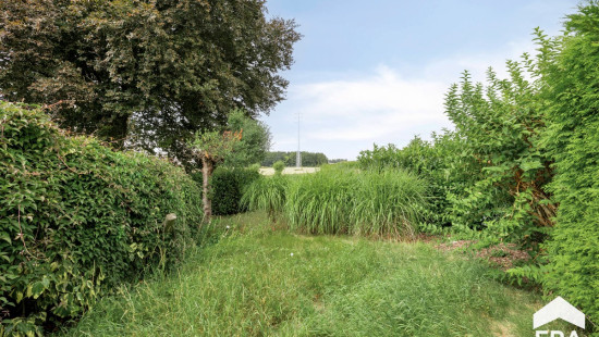 Kasteelstraat - 115 - - 3300