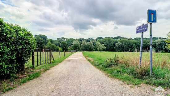 Sentier du Baillois - 14 - - 1330