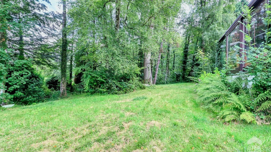 Sentier du Baillois - 14 - - 1330