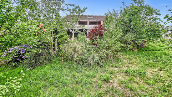 Rue Pery-Hameau - 11 - - 4870