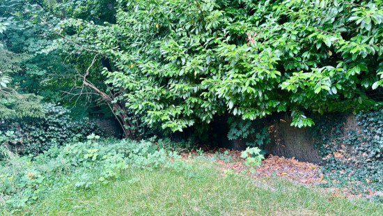 Avenue des citrinelles - 53 - - 1150