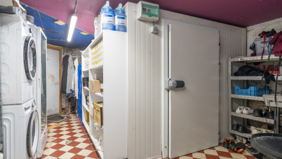 Rue La Ringe - 37 - - 5550