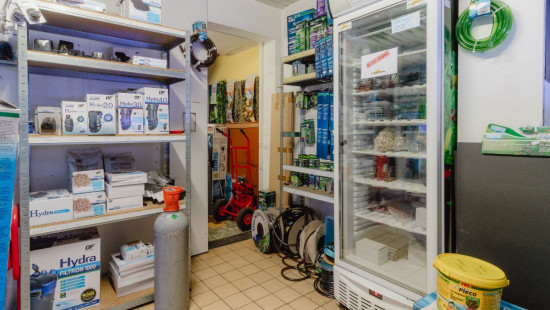 Annuntiatenstraat - 16 - - 2170