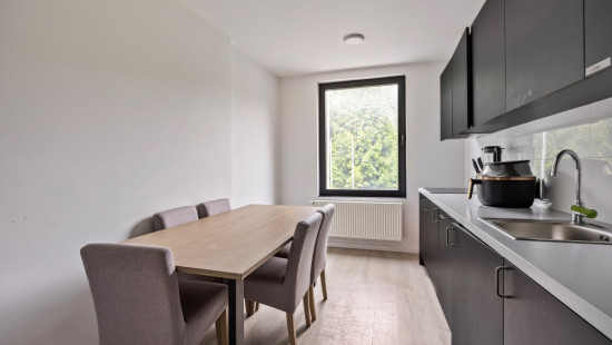 tervuursevest - 268 - kamer 202 - 3000