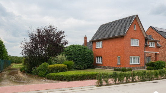 Grotestraat - 378 - - 3850