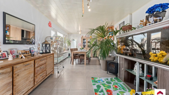 Steenovenstraat - 95 - - 8760