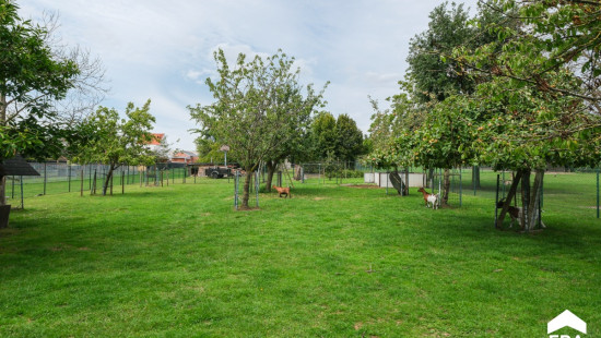 Klein Tegelrijstraat - 41 - - 3850