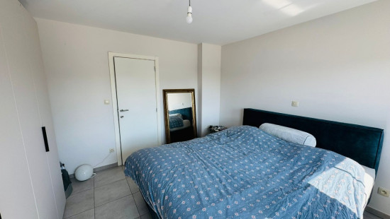 Onze-Lieve-Vrouwstraat - 124 - A3 - 3570