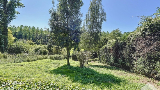 Rue Thier Moulu - 70 - - 4520