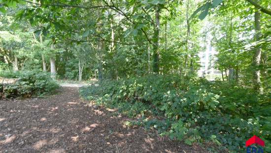 Opeisingstraat - 18 - - 9900
