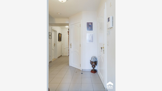 Molenstraat - 44 - 21 - 3600