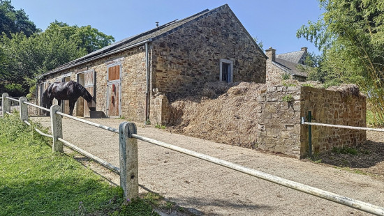 Rue Champs Bousalle - 2 - - 4500