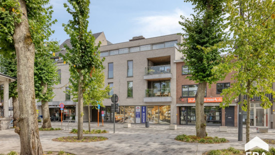 Dorp - 42 - 03.01 - 3920