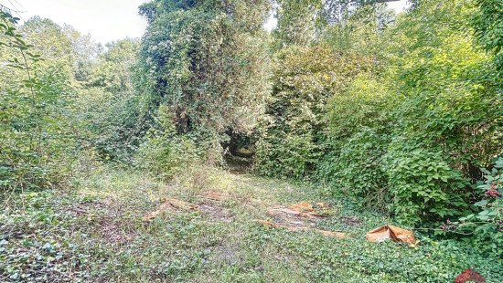 Rue du Rivage - 116 - - 5300