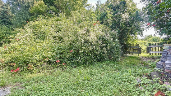 Rue du Rivage - 116 - - 5300