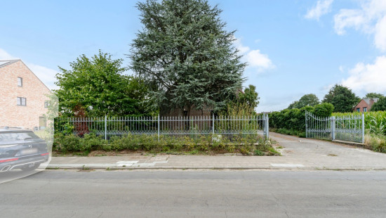 Dorpsdam - 56 - - 9120