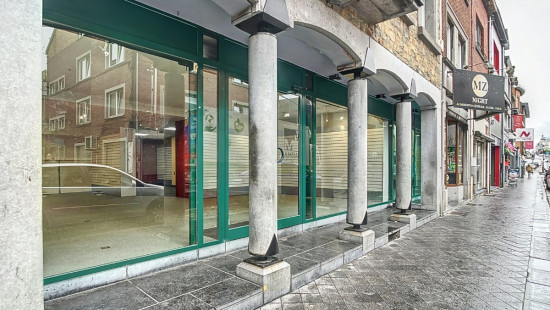 Rue du Vivier - 172 - - 6600