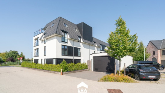 Wingenesteenweg - 29B - 1.2 - 8750