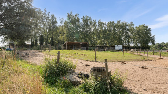 Moorenweg - 6 - 1 - 3670