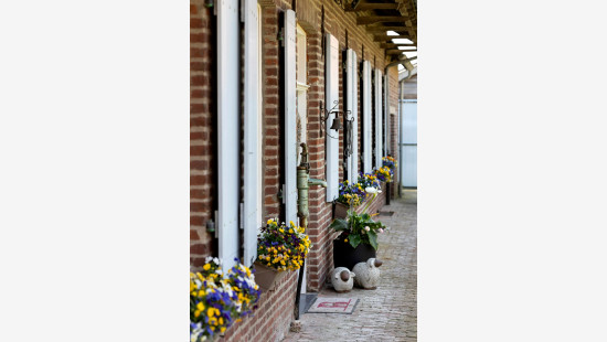 Groene Straete - 1 - - 59114