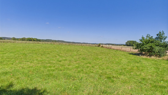 Petite Enneille - 0 - LOT 7 - 6940