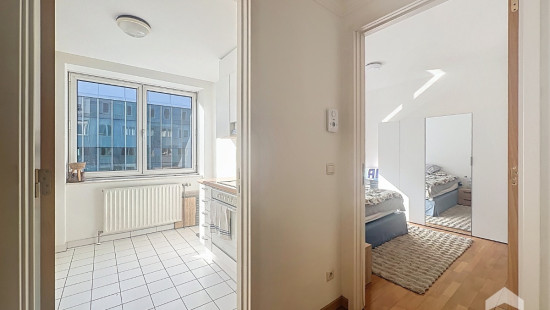 Rue Royale - 182 - 7 - 1000
