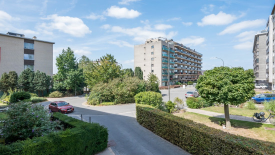 Heidebloemstraat - 103 - - 9100