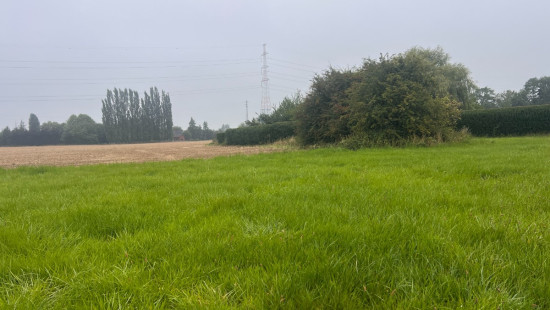 route du Condroz - 315A - - 4550