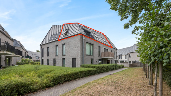Karrenspoorstraat - 26 - B202 - 9160