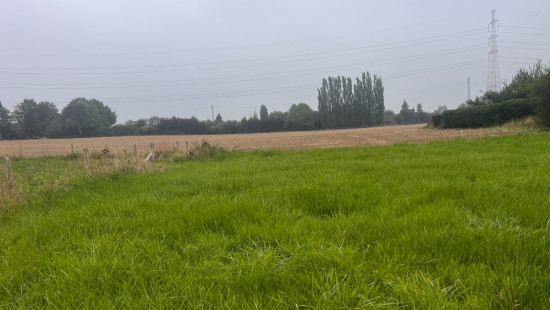 route du Condroz - 315A - - 4550