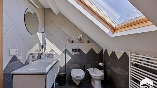 Ninoofsesteenweg - 1046 - - 1703