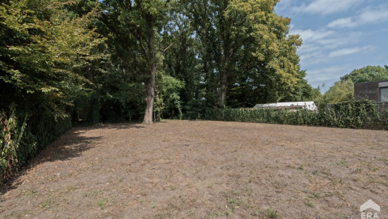 Berenbroekstraat - 52 - - 3600