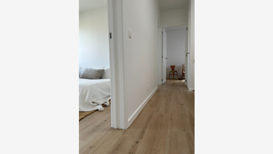 Haantjeslei - 55 - 5 - 2018