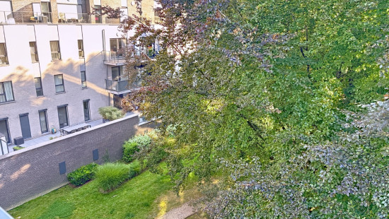 Rue de Lantin - 153 - 34 - 4000