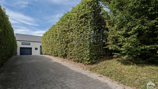 Heiligenbornstraat - 11 - - 3570