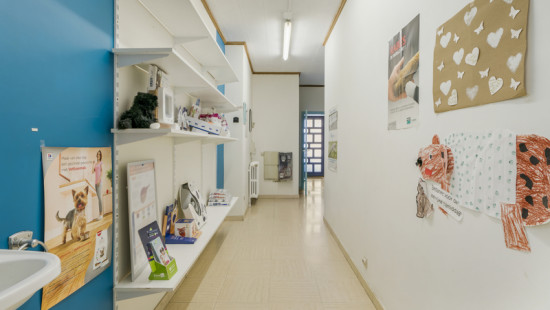 Bellevuestraat - 35 - - 8870