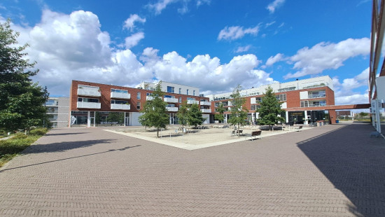 Bekaertstraat - 2D - - 8550