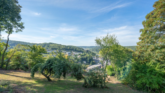 Allée de Lairbois - 26 - - 5530