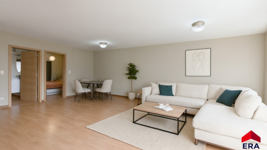 Adegem-Dorp - 3 - 1-06 - 9991