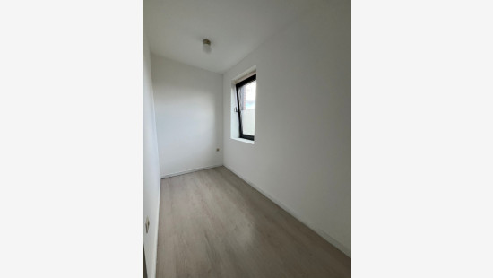 Worteldorp - 49 - 4 - 2323