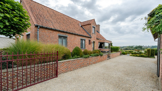 Wilderstraat - 99 - A - 9400