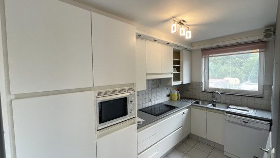 Koolaardestraat - 8A - 102 - 2280
