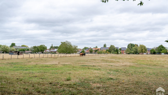 Sterrebos - 87 - - 3500