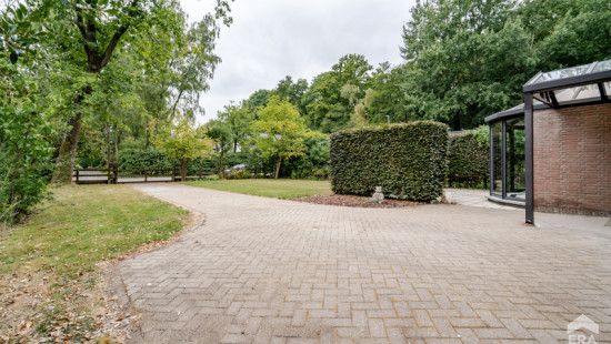 Sterrebos - 87 - - 3500
