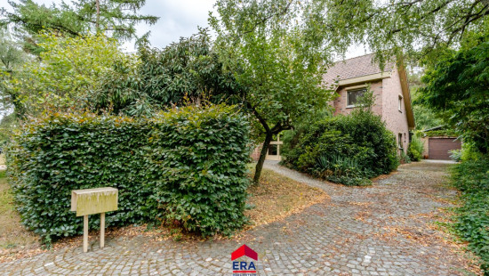 Duivelsbroek - 5 - - 2400