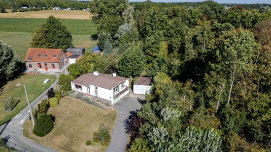 Biezen - 5 - - 9800