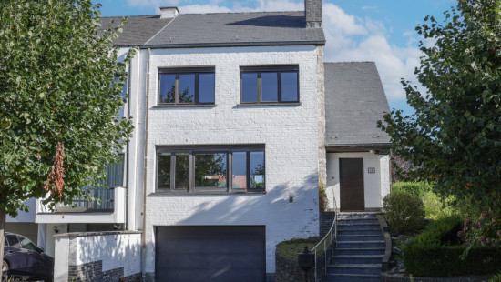 Immelvoortstraat - 10 - - 1850