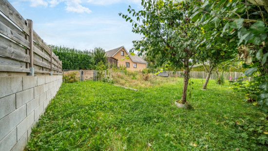 Rue de la petite bovire - 129 - - 6600